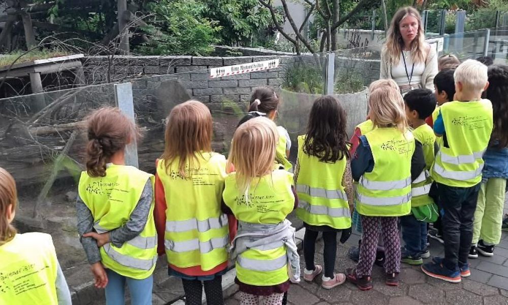 Schlaffest der Wackelzahnkinder